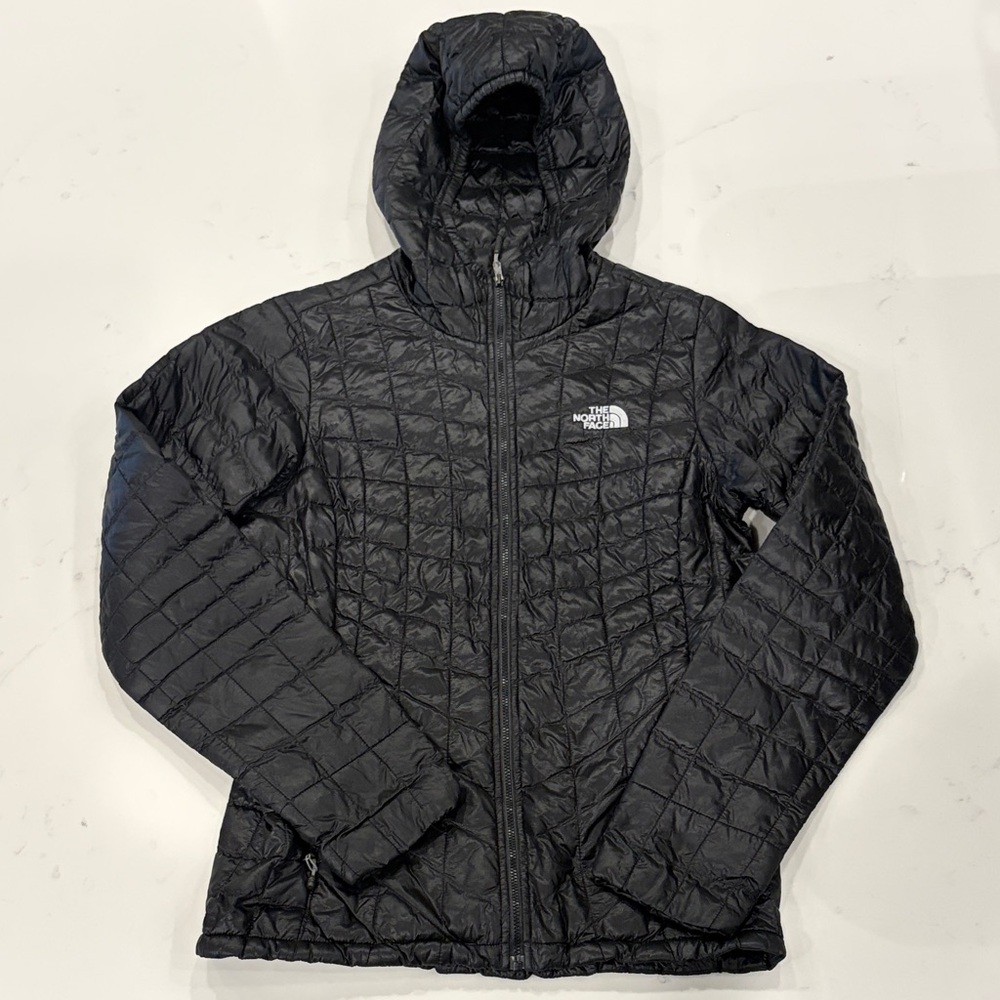 The North Face Black Hooded Puffer Jacket